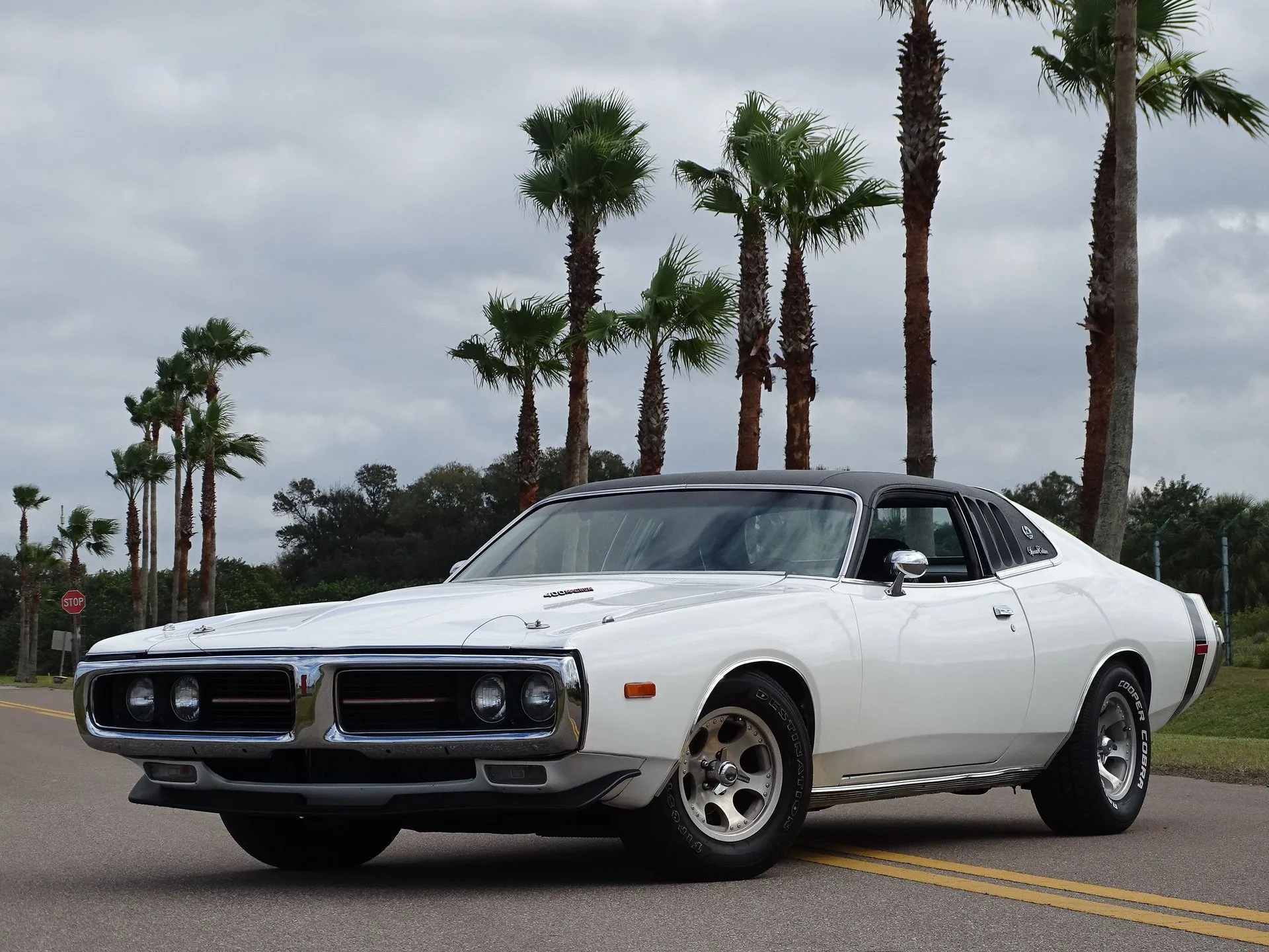 1973 Dodge Charger SE