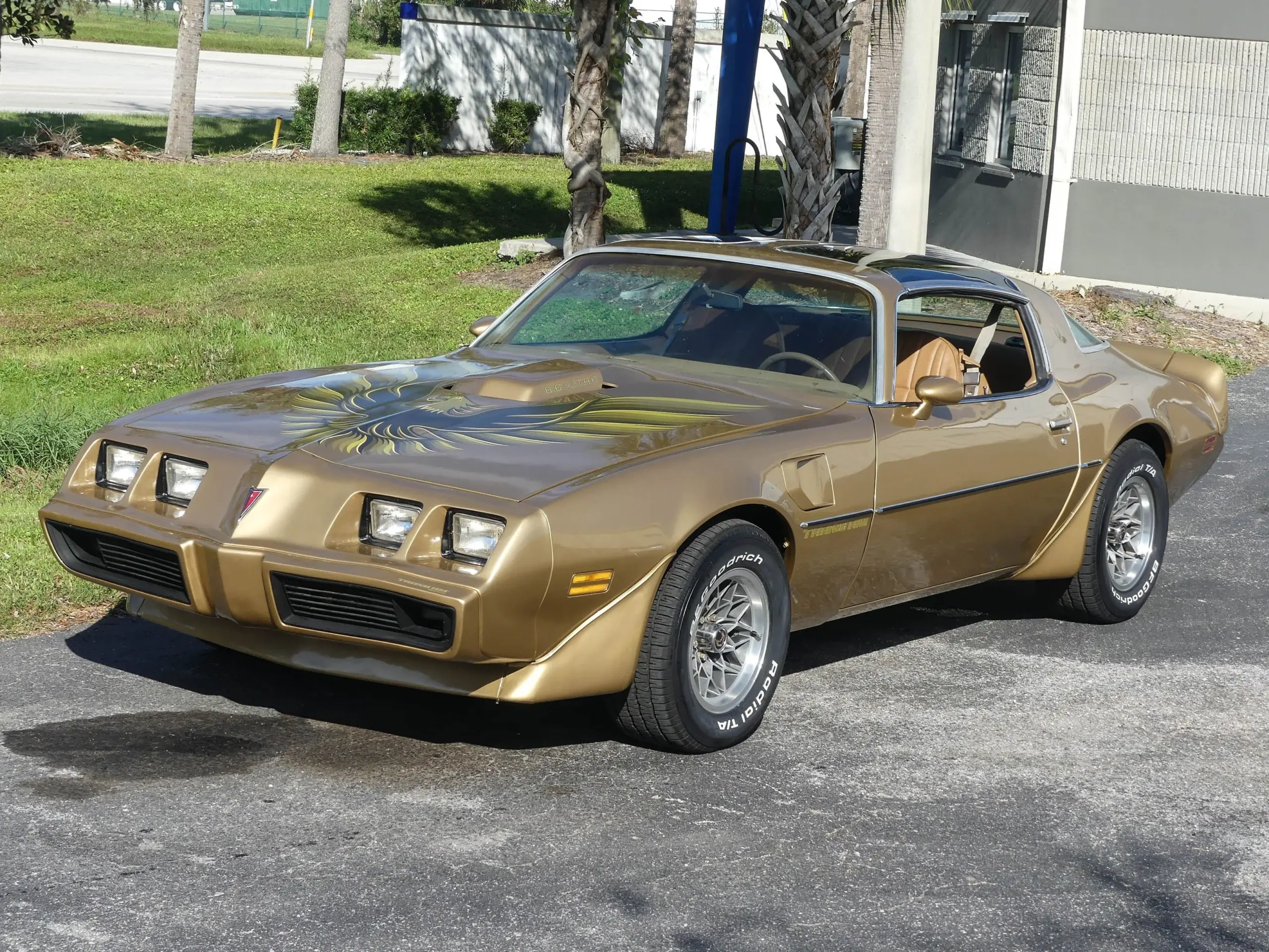 1979 Pontiac Trans Am WS6 T-Tops